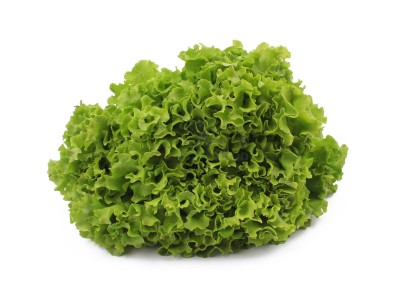 Салат романо 1 кг - купить в Джилихуре